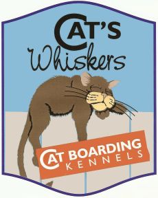 Cat's Whiskers!