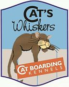 Cat's Whiskers
