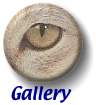 Please look at our photo gallery